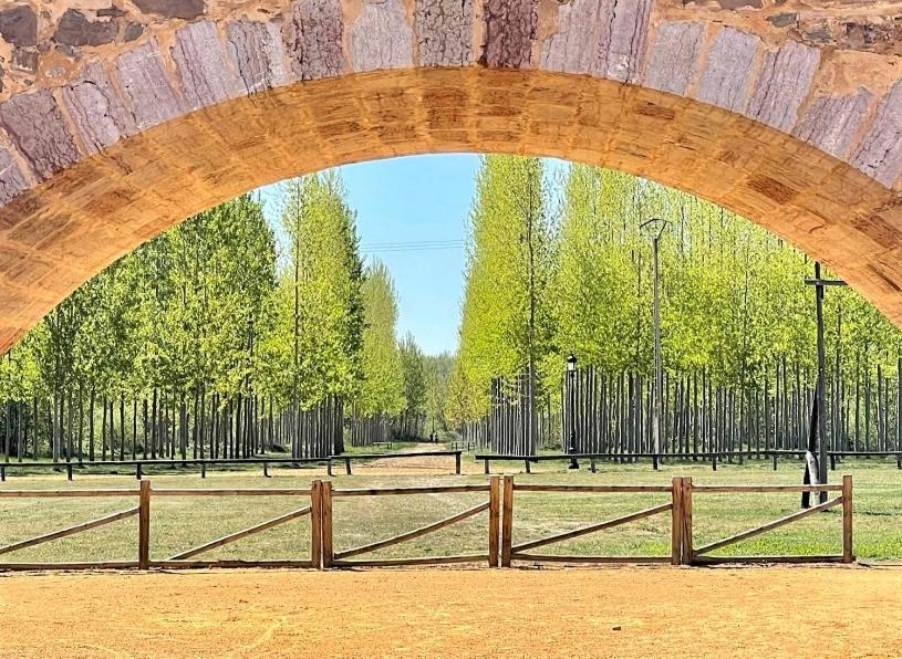 Hospital de Órbigo B&B Puente De Orbigo المظهر الخارجي الصورة